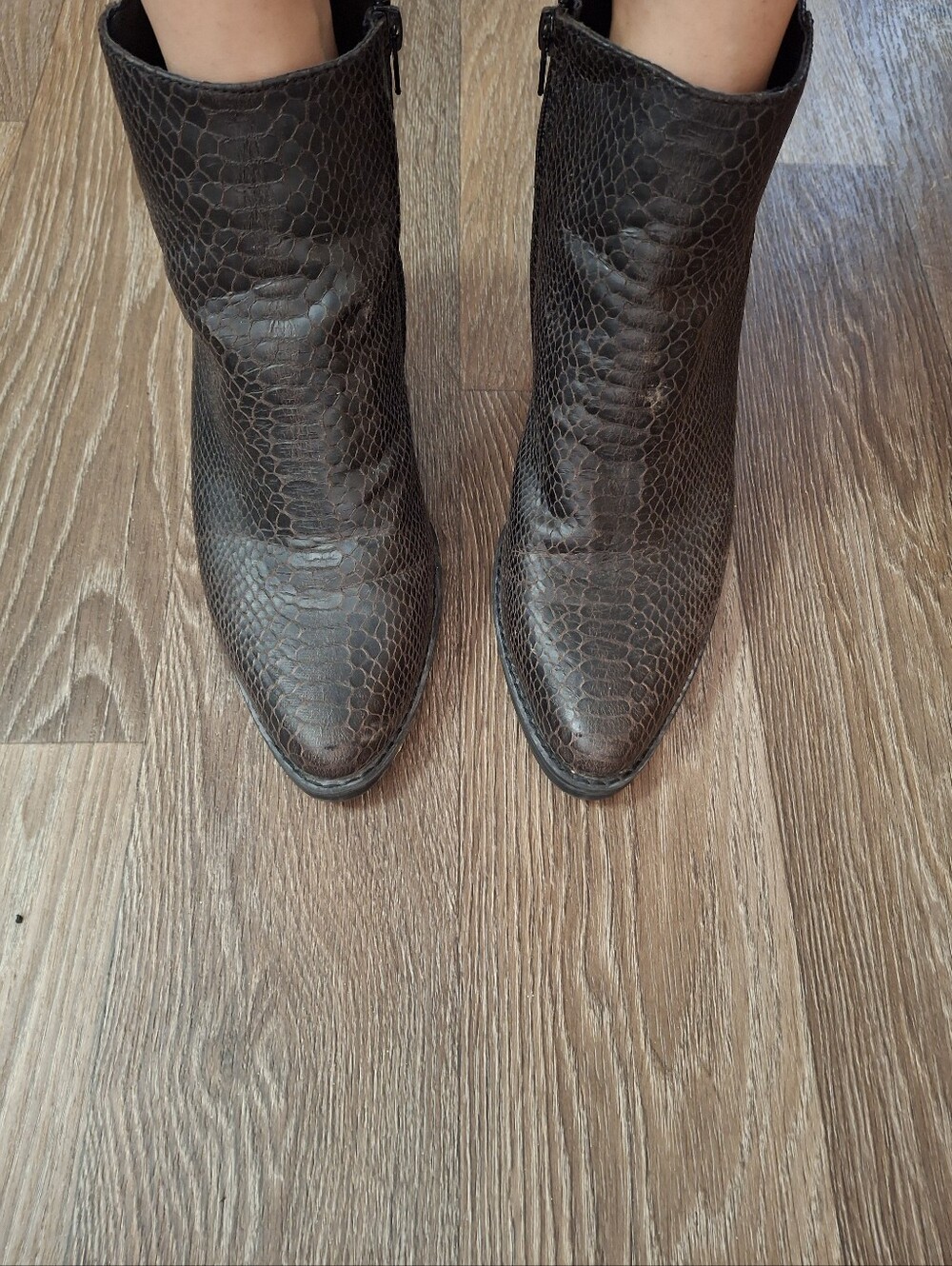 Women's Dark Brown Snake-Texture Ankle Boots